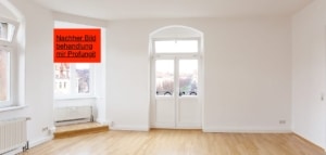 Profungit Schimmelschutzfarbe (Premium Anti Schimmelfarbe 1in2 Lösung)