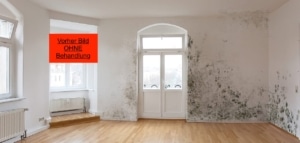 Profungit Schimmelschutzfarbe (Premium Anti Schimmelfarbe 1in2 Lösung)