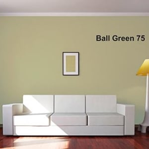 Farrow & Ball Card Room Green 79