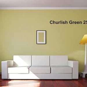 Farrow & Ball Churlish Green 251