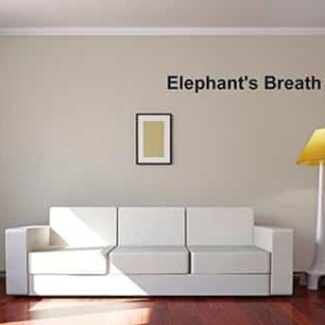Farrow & Ball Elephants Breath 229