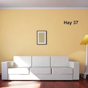 Farrow & Ball Hay 37