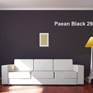 Farrow & Ball PaeanBlack 294