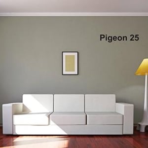 Farrow & Ball Pigeon 25