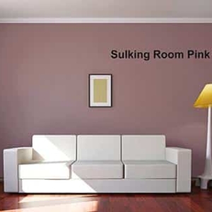 Farrow & Ball Sulking Room Pink 295