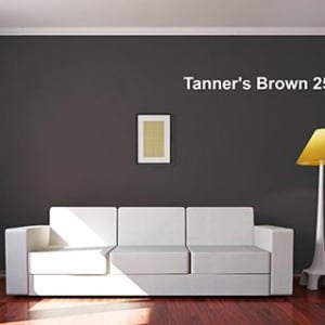 Farrow & Ball Tanners Brown 255