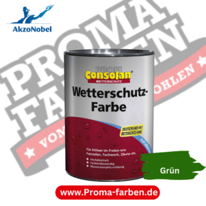 Consolan Profi Wetterschutz-Farbe Grün