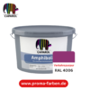 Caparol Amphibolin Fassadenfarbe RAL 4006 Verkehrspurpur – Bild 2