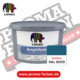 Caparol Amphibolin Fassadenfarbe RAL 5009 Azurblau online bestellen bei ProMa Farben