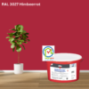 Keim Innostar Silikatfarbe RAL 3027 Himbeerrot online bestellen bei ProMa Farben