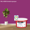 Keim Innostar Silikatfarbe RAL 4006 Verkehrspurpur online bestellen bei ProMa Farben