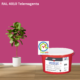 Keim Innostar Silikatfarbe RAL 4010 Telemagenta online bestellen bei ProMa Farben
