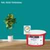Keim Innostar Silikatfarbe RAL 5018 Türkisblau online bestellen bei ProMa Farben