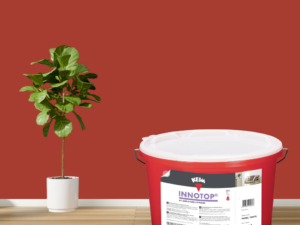 Keim Innotop Silikatfarbe RAL 3016 Korallenrot online bestellen bei ProMa Farben
