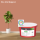 Keim Biosil Wandfarbe RAL 3012 Beigerot online bestellen bei ProMa Farben