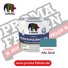 Capadur NQG Wetterschutzfarbe RAL 5018 Türkisblau online bestellen bei ProMa Farben