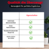12 Rollen Erfurt Vlies Rauhfaser Viva 95,4m² Tapete Raufaser – Bild 4