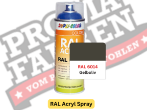 Dupli-Color RAL Acryl Spray RAL 6014 Gelboliv online bestellen bei ProMa Farben