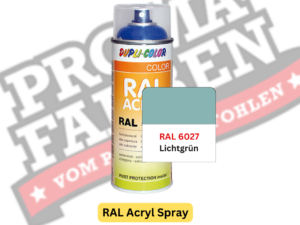 Dupli-Color RAL Acryl Spray RAL 6027 Lichtgrün online bestellen bei ProMa Farben
