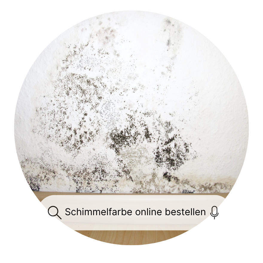 Schimmelfarbe online bestellen