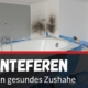 Schimmel entfernen Ratgeber