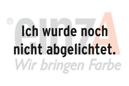 Ersatz-Akku für Akku-VarioTool, -Delta-Schleifer und -Schrauber 10,8 V kaufen bei Proma Farben Hamburg