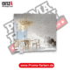 einzA Tapete Real Stone & Wood 2026 8608 kaufen Proma Farben Hamburg