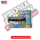 einzA Tapete Nature 2026 8829 kaufen Proma Farben Hamburg