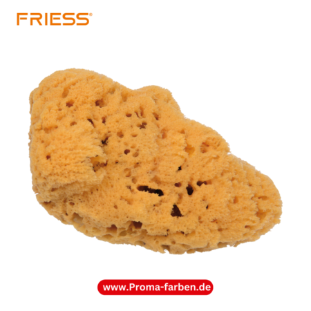 Friess Techno Naturschwamm Ø 160 mm kaufen bei Proma Farben