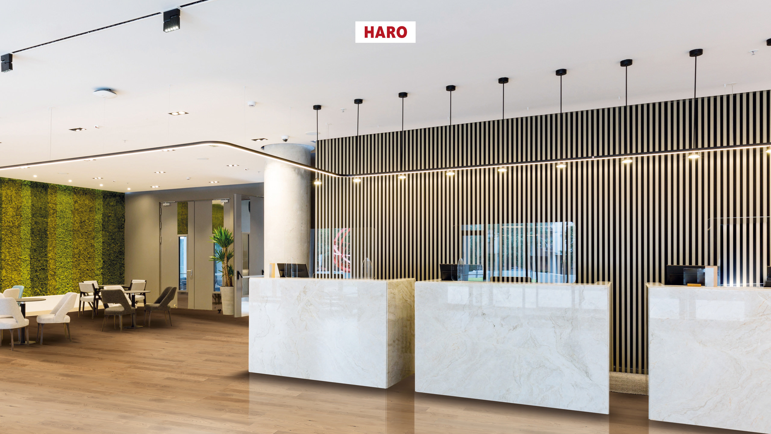 HARO WALL Design Stripe Akustikpaneel Eiche hell furniert – Bild 2
