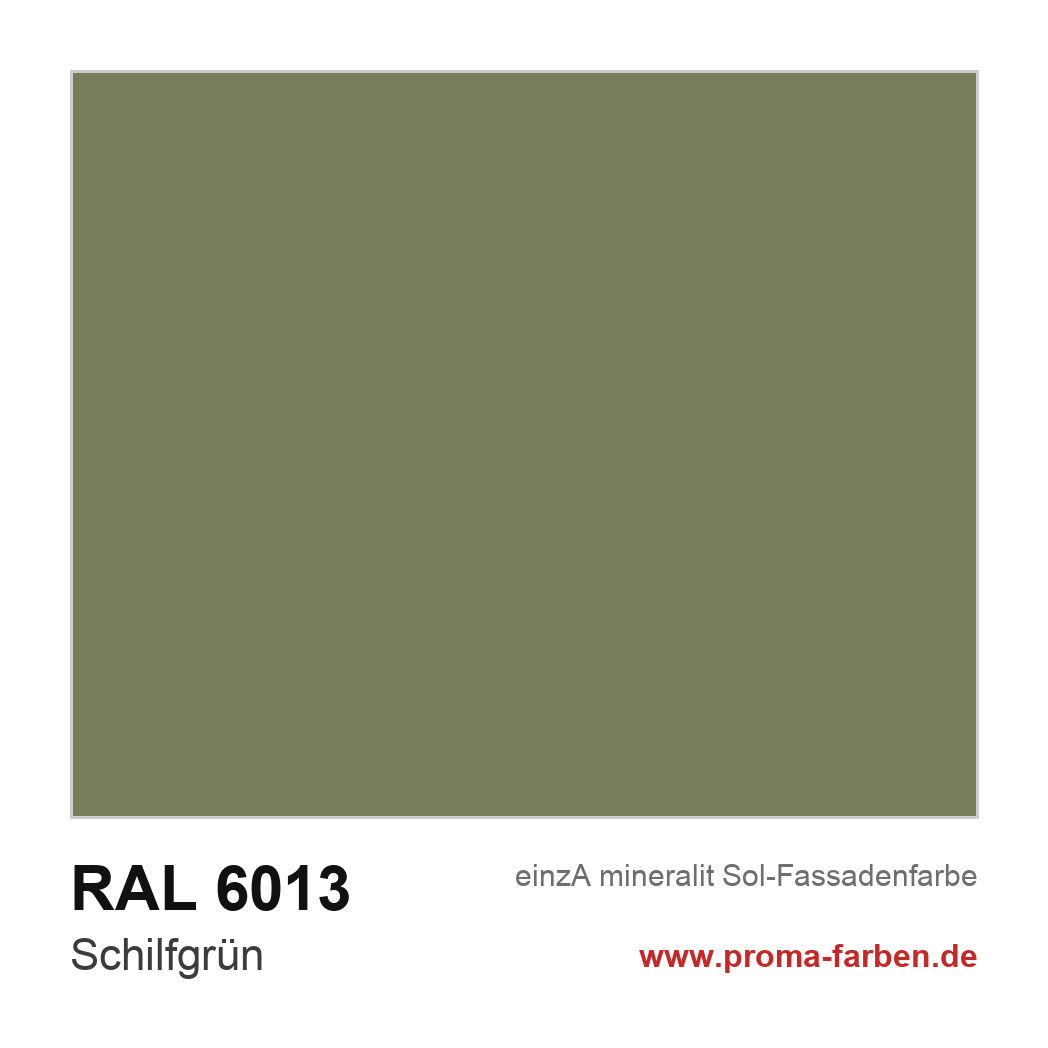 RAL 6013 Schilfgrün Farbton