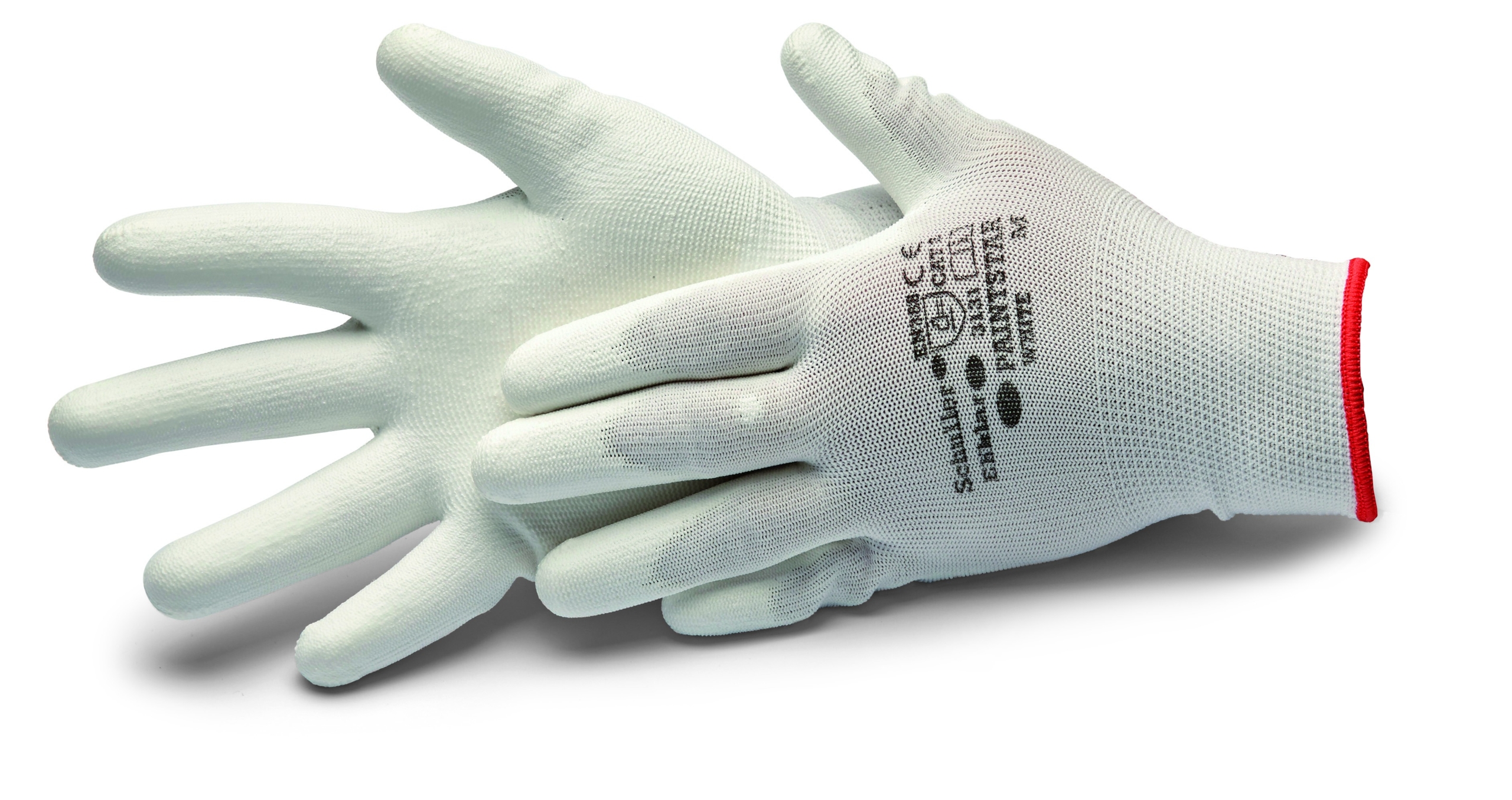 PAINTSTAR WHITE kaufen bei ProMa Farben