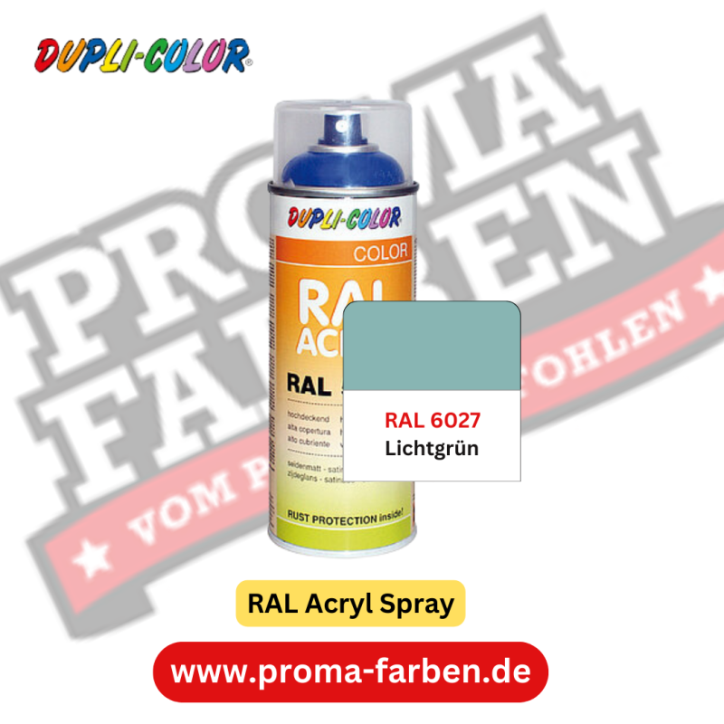 Dupli-Color RAL Acryl Spray RAL 6027 Lichtgrün online bestellen bei ProMa Farben
