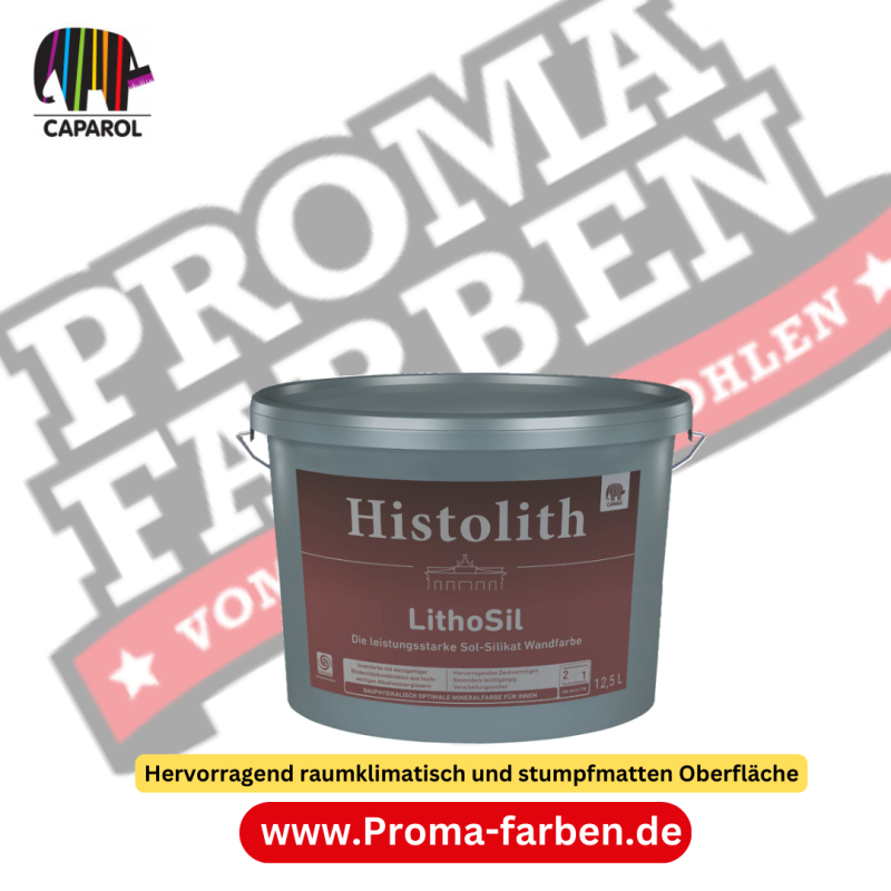 Histolith LithoSil weiß kaufen bei ProMa Farben.de