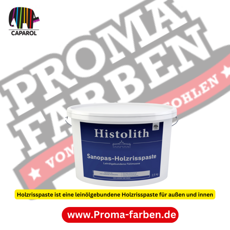 Histolith Sanopas-Holzrisspaste 1,00 kg braun Kaufen bei Proma farben