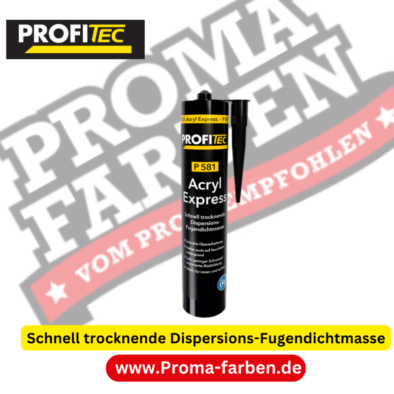 ProfiTec P581 Acryl Express Kaufen bei Proma farben