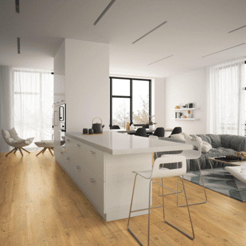 einzA Exklusiv Design Hannover Rigid Click online bestellen bei ProMa Farben